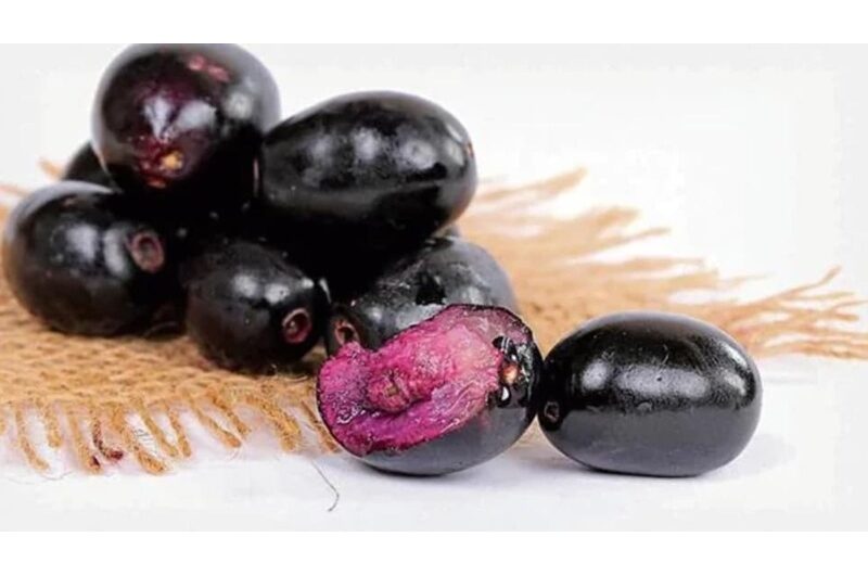 9 Health Advantages Of Eating Jamun In The Summer