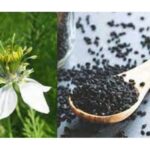 High Blood Pressure Control: 7 Ways Kalonji Aids In Clearing LDL Bad Cholesterol From Heart Arteries