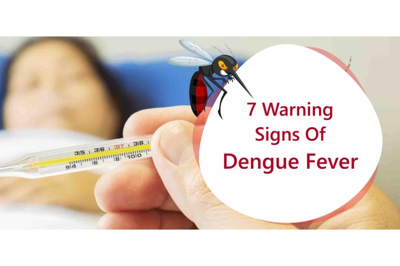 7 Dangerous Symptoms Of Dengue Fever—a Water-borne Illness You Should 