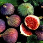 5 Ways that Figs Superfruit might Help to Treat Ranging from Jaundice to Anemia