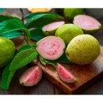 Amazing Advantages Of Eating Guava Leaves Rather Than The Fruit