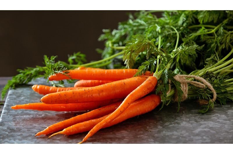 Maintain Clear Vision, Include Carrots, Citrus Fruits, and Fish in Your Diet on a Regular Basis