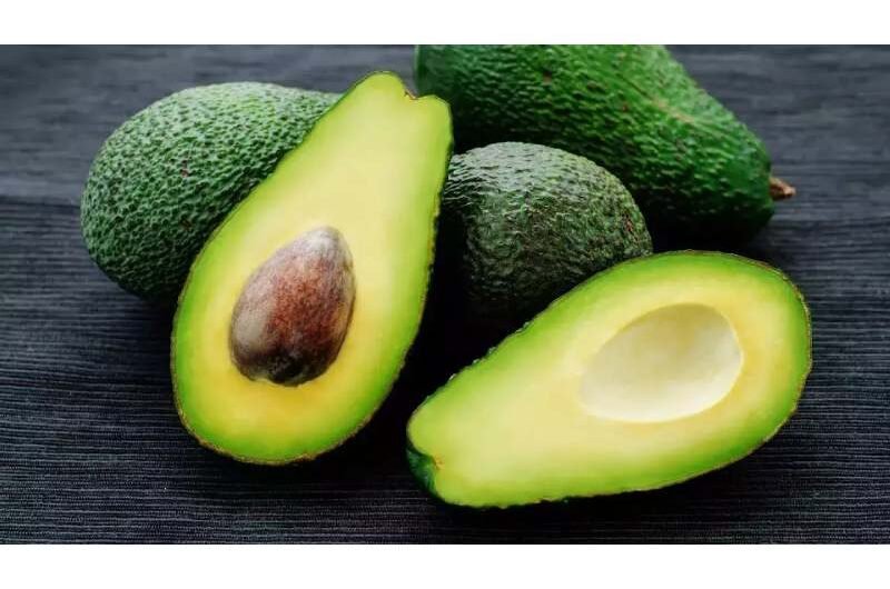 Healthy Drink: The Top 5 Unexpected Advantages Of Having A Glass Of Avocado Juice Each Week