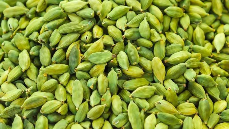 Chewing Cardamom After Every Meal has 7 Fantastic Health Benefits