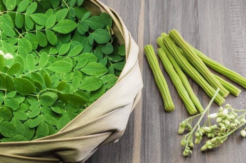 Eating Fresh Moringa Leaves on an Empty Stomach has 4 Astounding Benefits