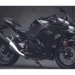 2025 Kawasaki Ninja 500 Unvailed at ₹5.29 Lakh