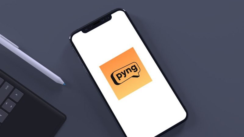 Users can connect with verified professionals with the help of Swiggy Pyng