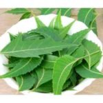 Health Advantages of Chewing Neem Leaves Every Day