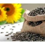 5 Health Advantages of Eating Sunflower Seeds