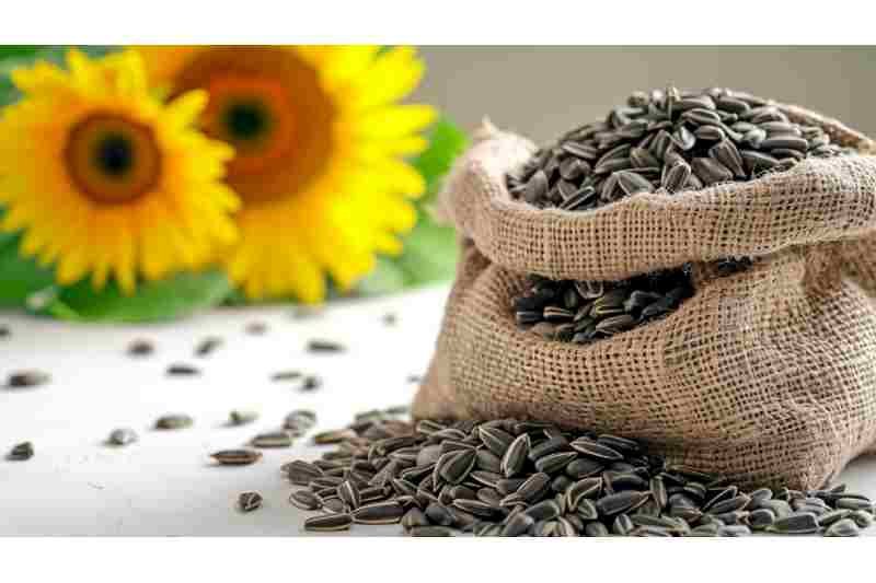 Sunflower Seeds