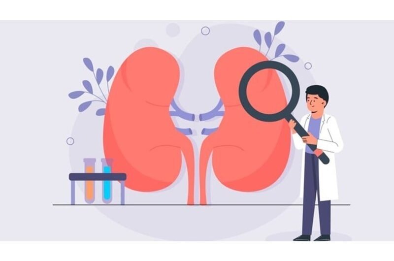 5 Early Warning Signs of Kidney Disease You Should Never Ignore