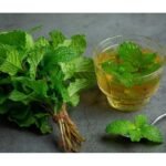 Pudina (Mint) Five Amazing Benefits in Summer Diet