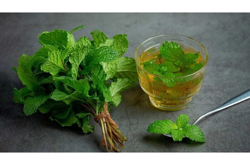 Mint Benefits