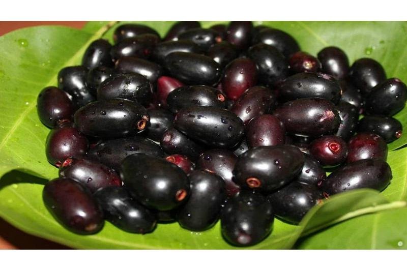 Wrong Foods With Jamun