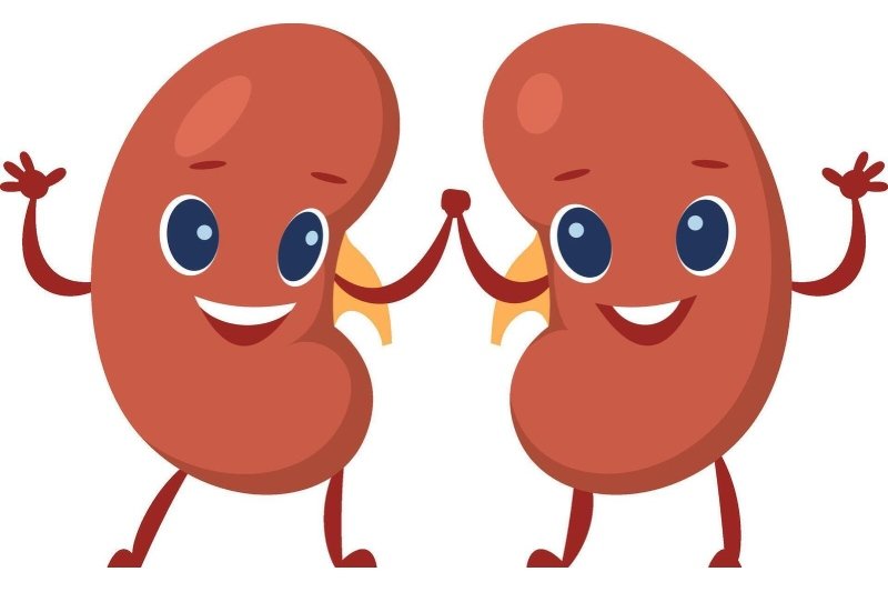 Kidney Health (1)